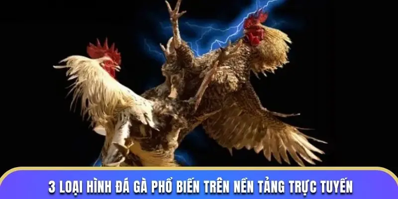 3 loại hình đá gà phổ biến trên nền tảng trực tuyến