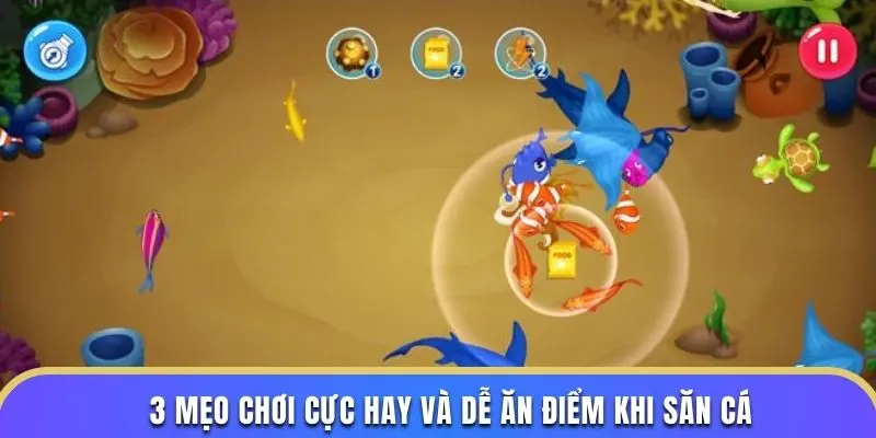 3 mẹo chơi cực hay và dễ ăn điểm khi săn cá