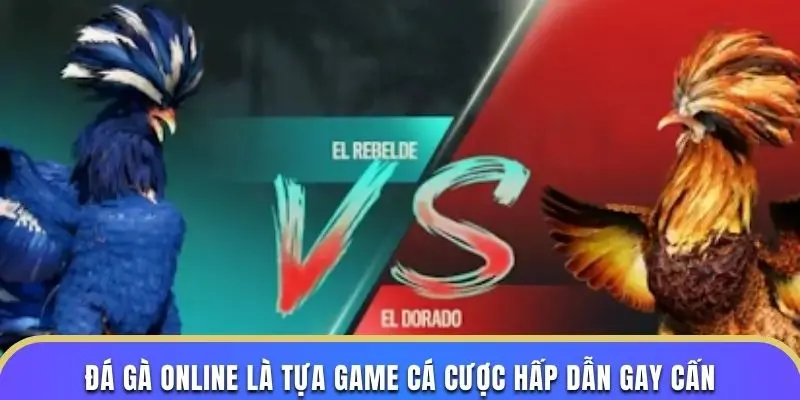 Đá gà online là tựa game cá cược hấp dẫn gay cấn