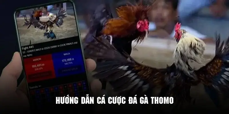 Cách tham gia đón xem và cá cược đá gà tại hệ thống Vipwin
