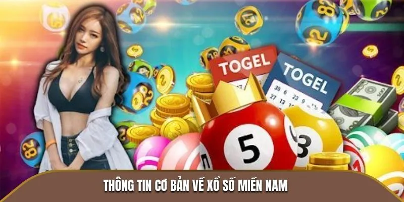 Xổ số miền Nam Vipwin mang đến cơ hội trúng lớn mỗi ngày với các giải thưởng hấp dẫn. Tham gia ngay để có thể đổi đời với những con số may mắn!